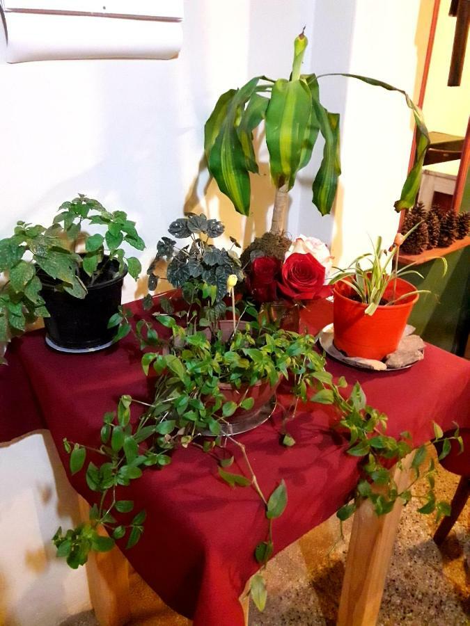 Shekinah Hotell Villa Cura Brochero Exteriör bild